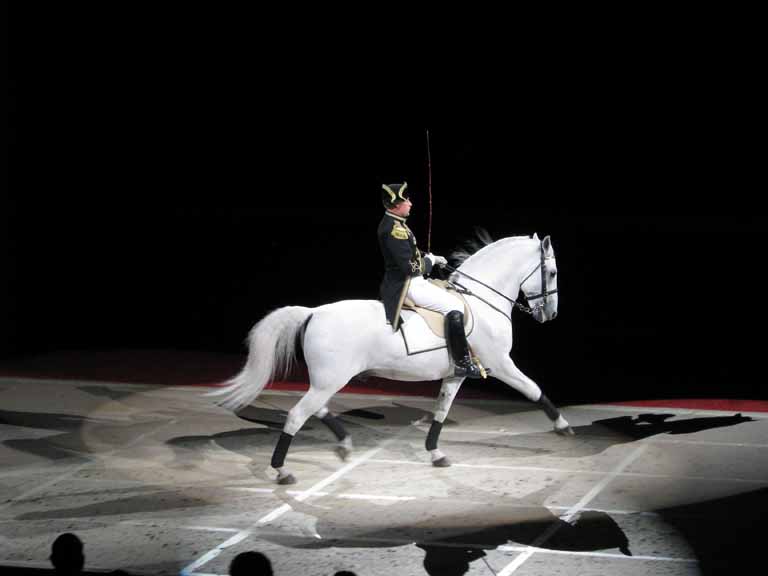 077: Lipizzaner Stallions, Mar 15, 2009