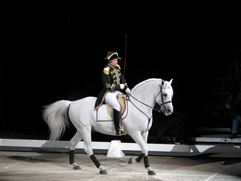 079: Lipizzaner Stallions, Mar 15, 2009