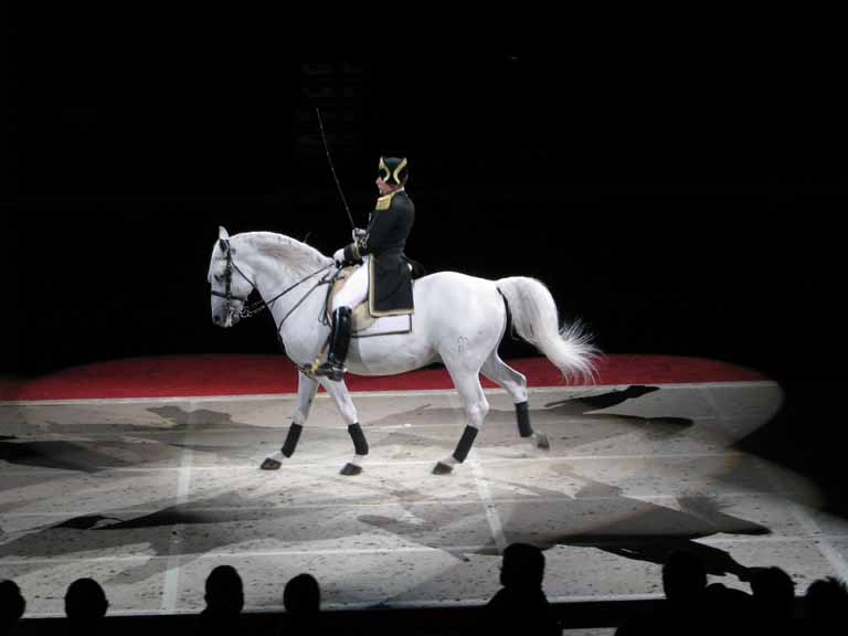 080: Lipizzaner Stallions, Mar 15, 2009