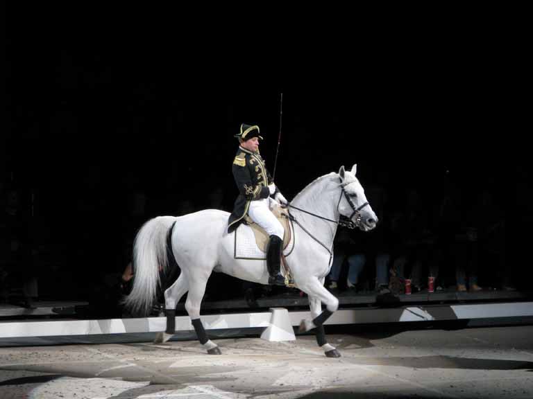 081: Lipizzaner Stallions, Mar 15, 2009