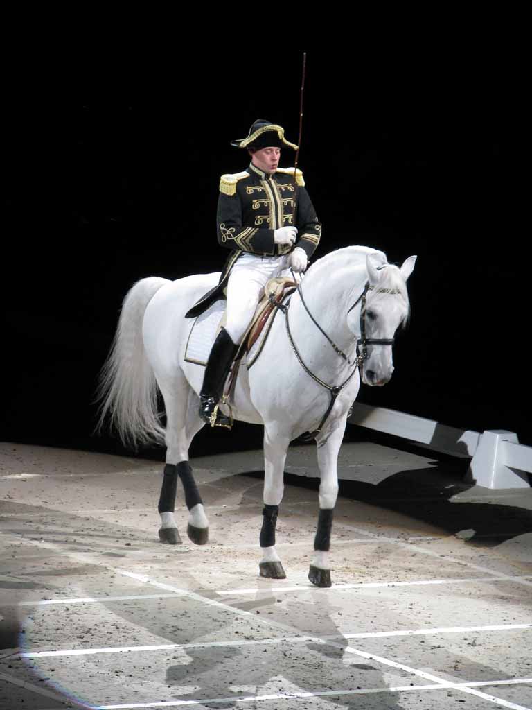 082: Lipizzaner Stallions, Mar 15, 2009