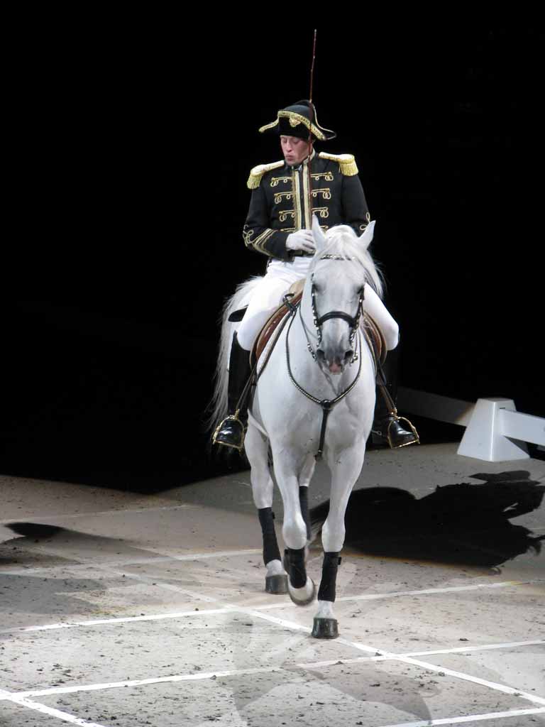 083: Lipizzaner Stallions, Mar 15, 2009