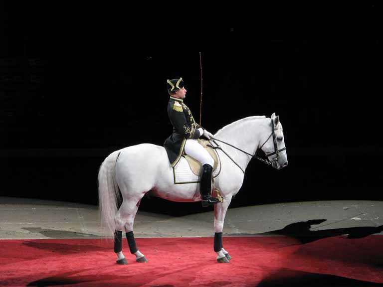 085: Lipizzaner Stallions, Mar 15, 2009