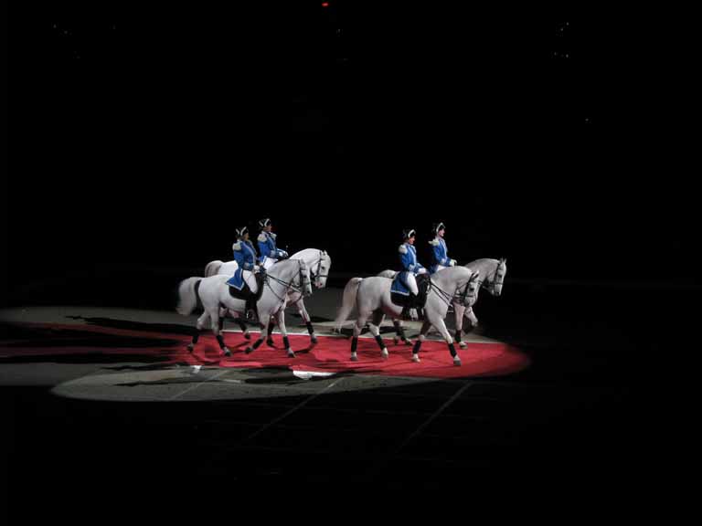 086: Lipizzaner Stallions, Mar 15, 2009