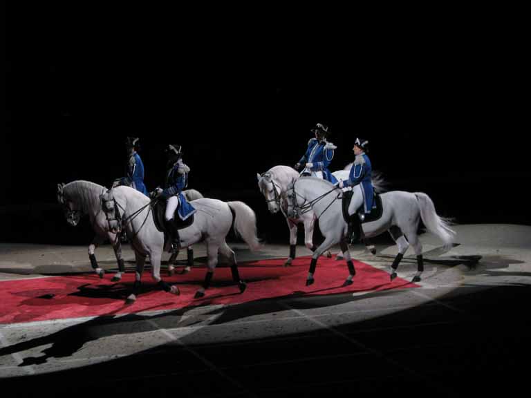 091: Lipizzaner Stallions, Mar 15, 2009