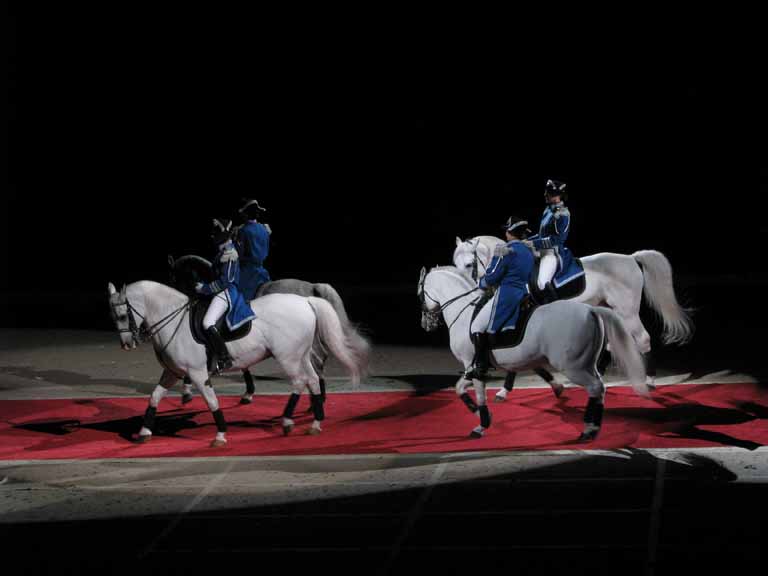 092: Lipizzaner Stallions, Mar 15, 2009