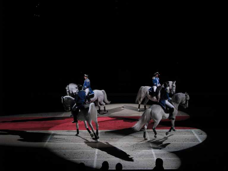 099: Lipizzaner Stallions, Mar 15, 2009