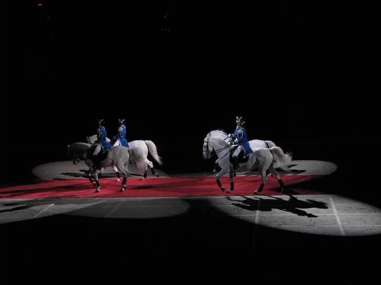 101: Lipizzaner Stallions, Mar 15, 2009