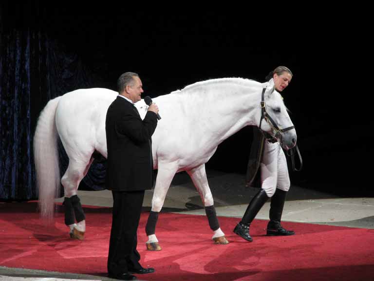 104: Lipizzaner Stallions, Mar 15, 2009