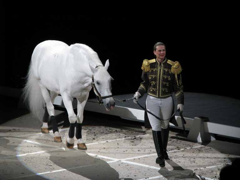 107: Lipizzaner Stallions, Mar 15, 2009