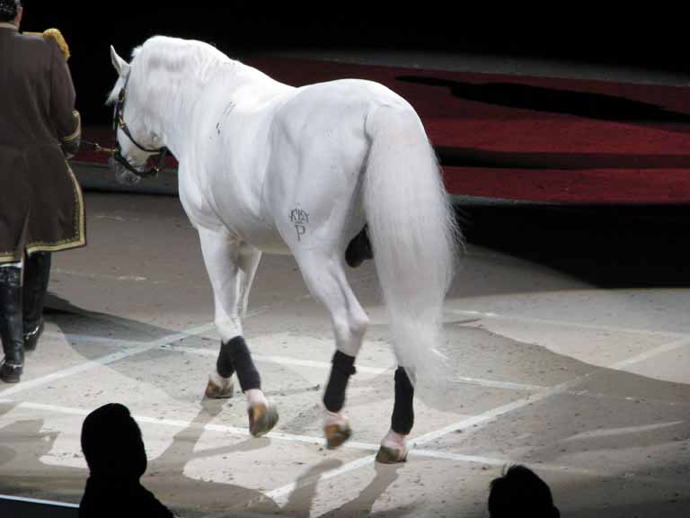 109: Lipizzaner Stallions, Mar 15, 2009