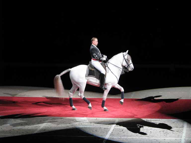 114: Lipizzaner Stallions, Mar 15, 2009