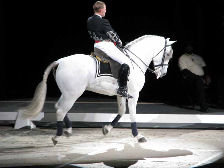 116: Lipizzaner Stallions, Mar 15, 2009