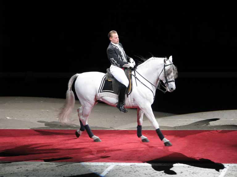 119: Lipizzaner Stallions, Mar 15, 2009