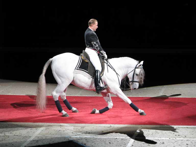 120: Lipizzaner Stallions, Mar 15, 2009