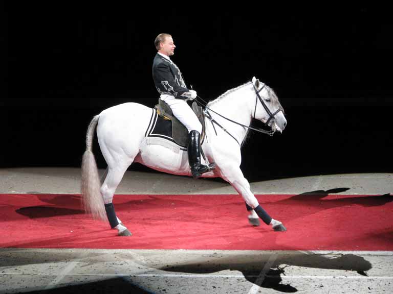 121: Lipizzaner Stallions, Mar 15, 2009