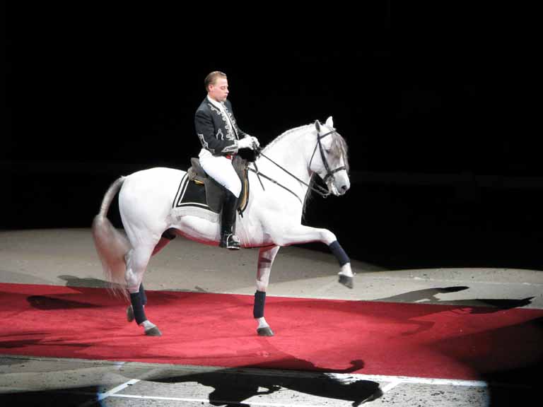 122: Lipizzaner Stallions, Mar 15, 2009