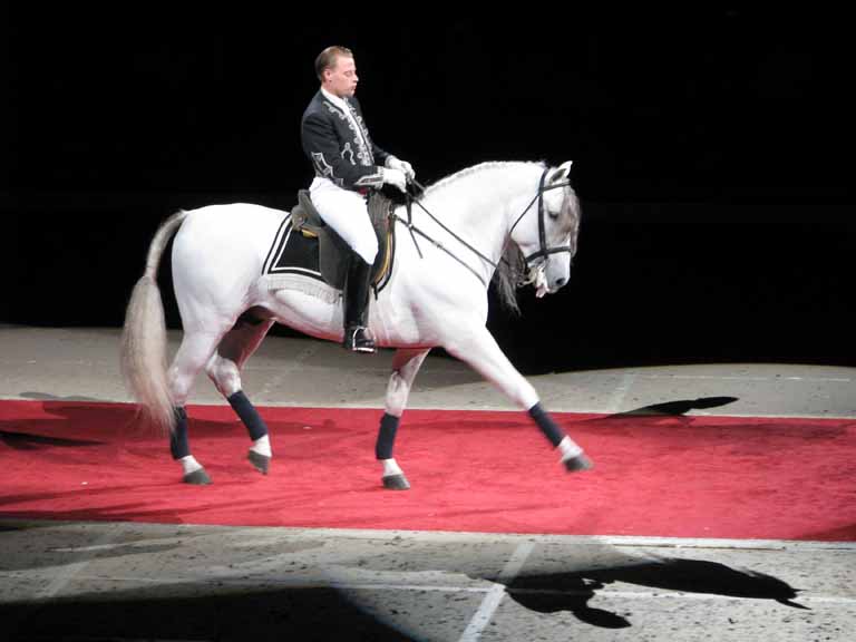 123: Lipizzaner Stallions, Mar 15, 2009