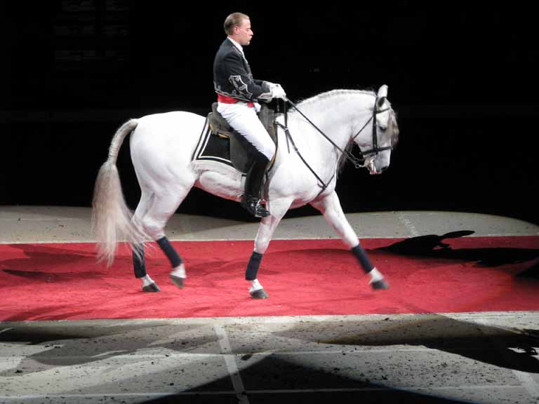 125: Lipizzaner Stallions, Mar 15, 2009