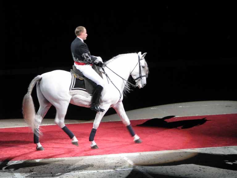 126: Lipizzaner Stallions, Mar 15, 2009