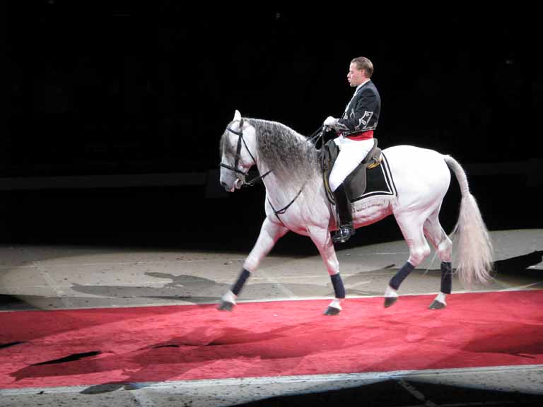 127: Lipizzaner Stallions, Mar 15, 2009