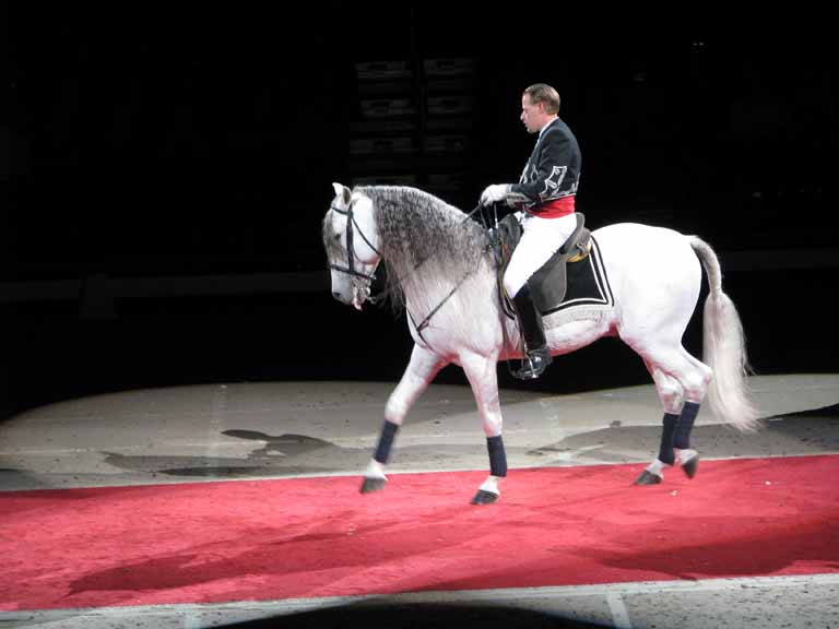 128: Lipizzaner Stallions, Mar 15, 2009