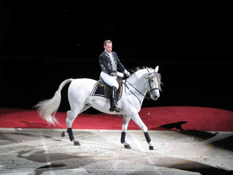 130: Lipizzaner Stallions, Mar 15, 2009