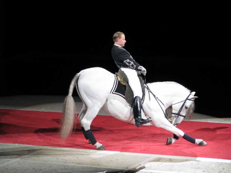 132: Lipizzaner Stallions, Mar 15, 2009