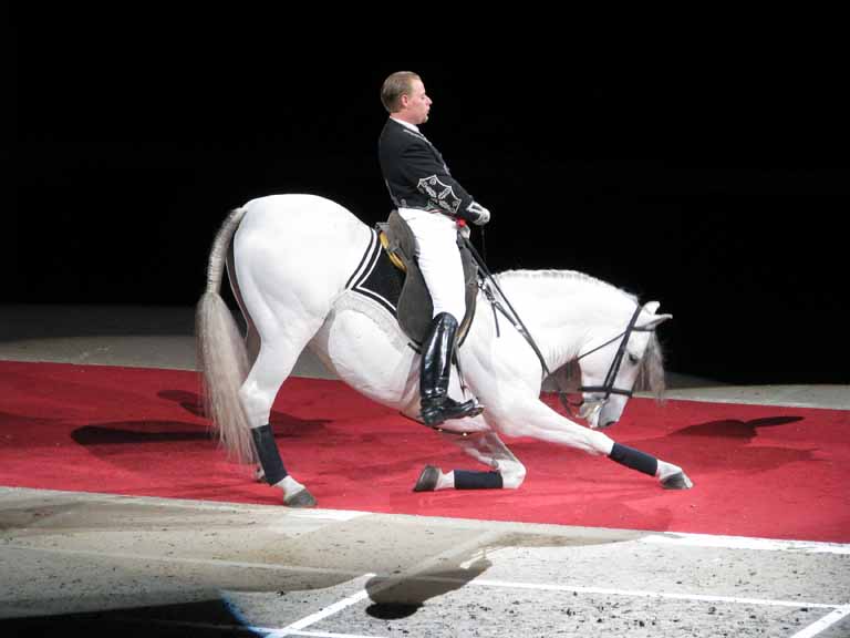 133: Lipizzaner Stallions, Mar 15, 2009