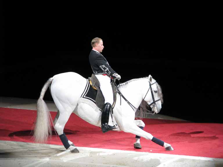 134: Lipizzaner Stallions, Mar 15, 2009