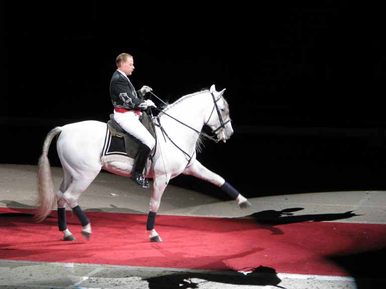 135: Lipizzaner Stallions, Mar 15, 2009