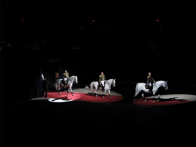 141: Lipizzaner Stallions, Mar 15, 2009