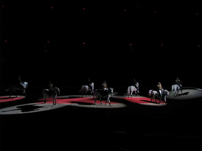 151: Lipizzaner Stallions, Mar 15, 2009