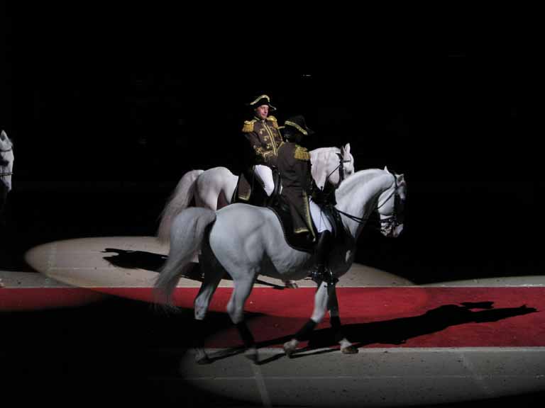 153: Lipizzaner Stallions, Mar 15, 2009