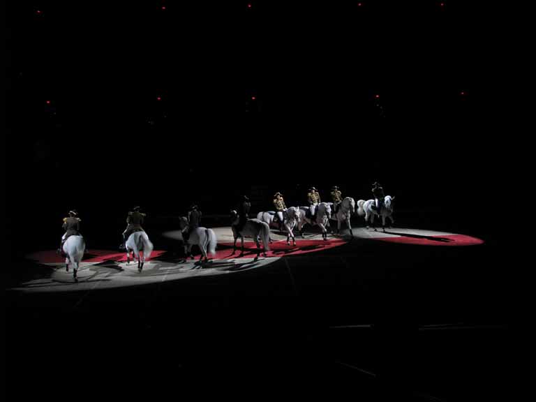 158: Lipizzaner Stallions, Mar 15, 2009