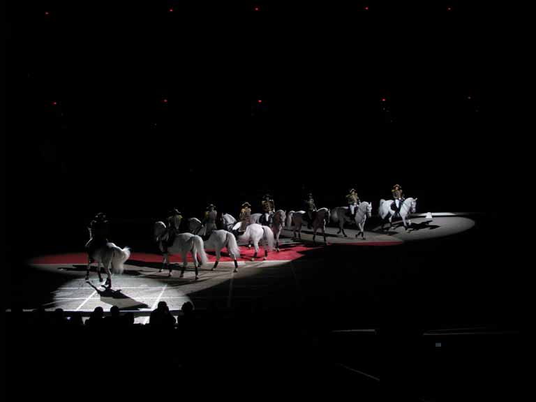 161: Lipizzaner Stallions, Mar 15, 2009