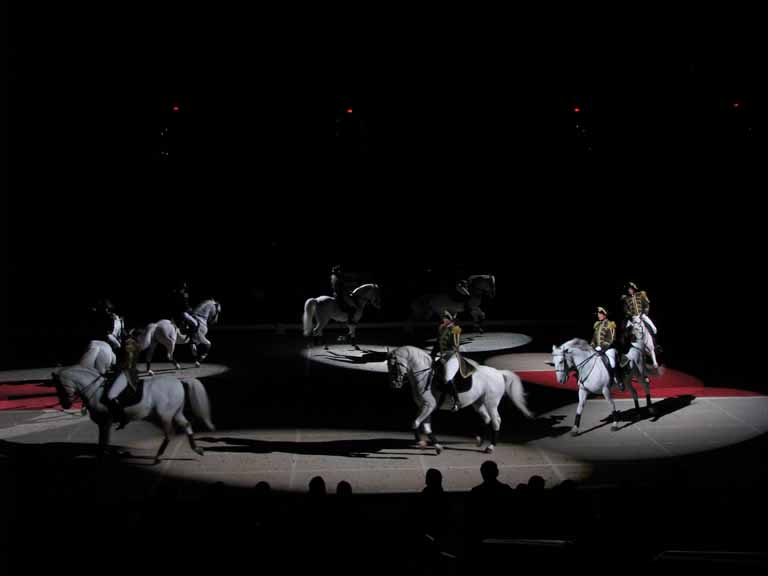 166: Lipizzaner Stallions, Mar 15, 2009