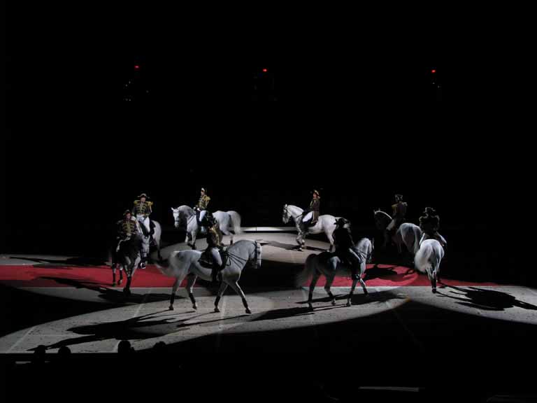 170: Lipizzaner Stallions, Mar 15, 2009