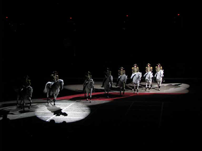 175: Lipizzaner Stallions, Mar 15, 2009