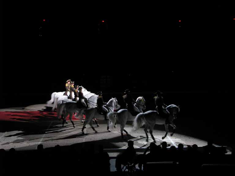 176: Lipizzaner Stallions, Mar 15, 2009