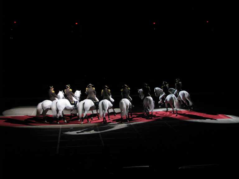 177: Lipizzaner Stallions, Mar 15, 2009