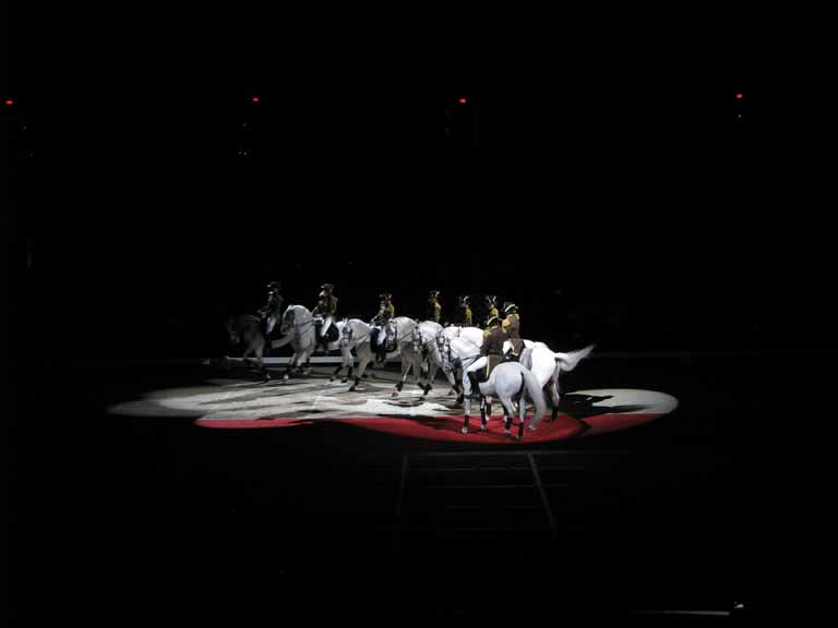 178: Lipizzaner Stallions, Mar 15, 2009