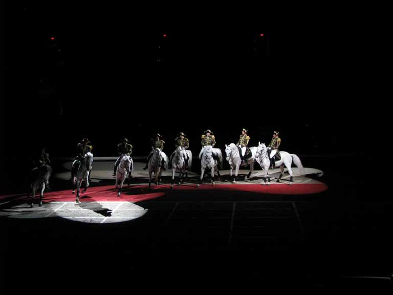 179: Lipizzaner Stallions, Mar 15, 2009