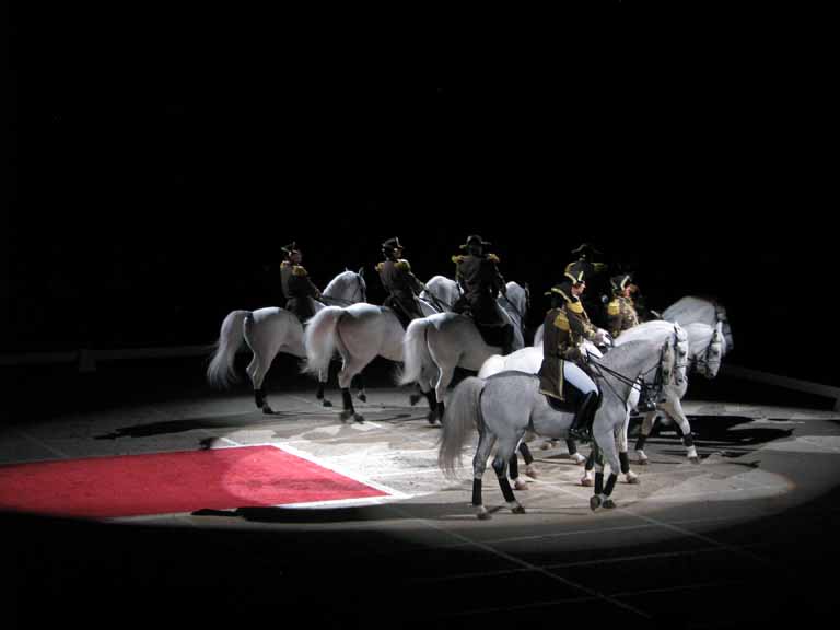 182: Lipizzaner Stallions, Mar 15, 2009