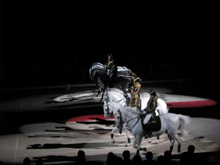 184: Lipizzaner Stallions, Mar 15, 2009