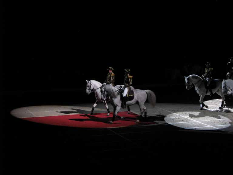 188: Lipizzaner Stallions, Mar 15, 2009