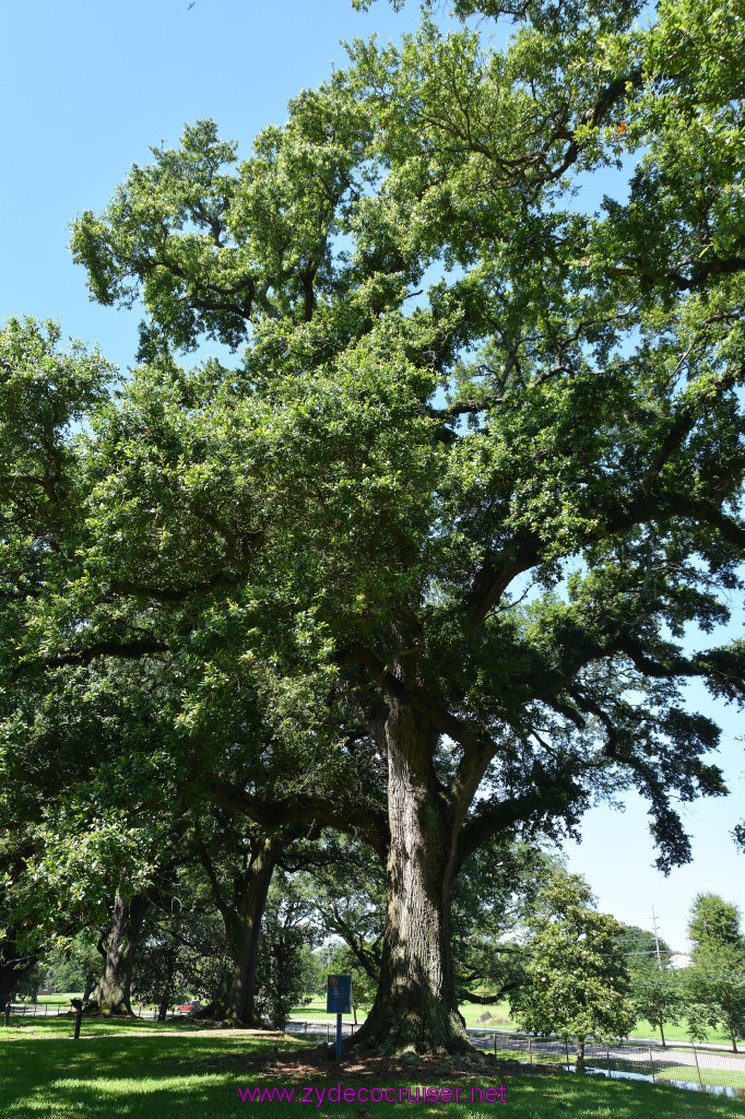 013: Magnolia Mound Plantation, Baton Rouge, LA