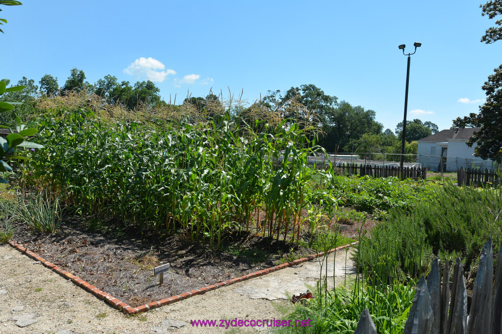 024: Magnolia Mound Plantation, Baton Rouge, LA