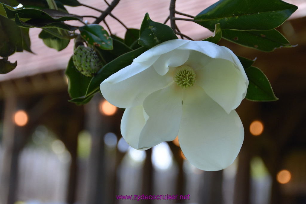 041: Magnolia Mound Plantation, Baton Rouge, LA