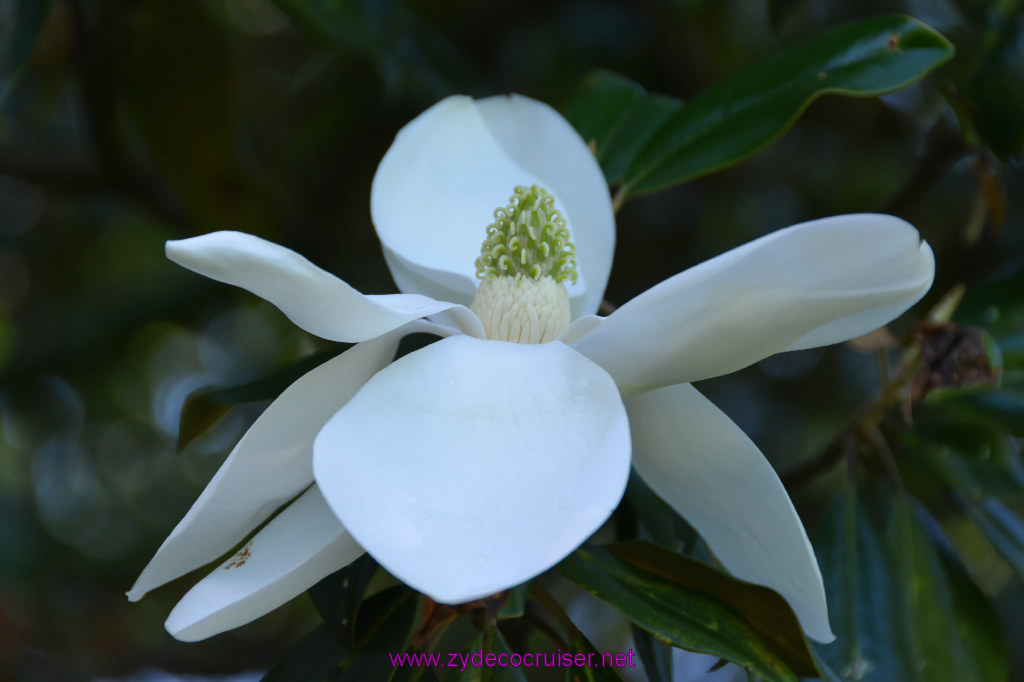 043: Magnolia Mound Plantation, Baton Rouge, LA